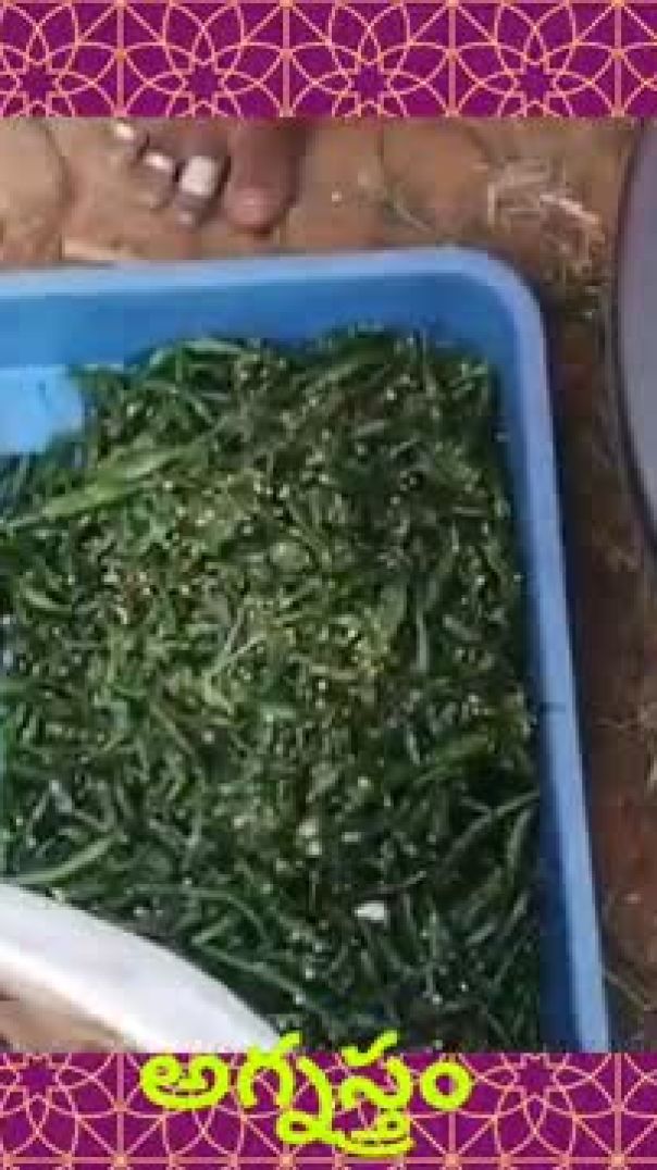 ప్రకృతి వ్యవసాయం కోసం అగ్నిస్ర్తం కషాయం తయారీ | Organic Pest Control in Telugu