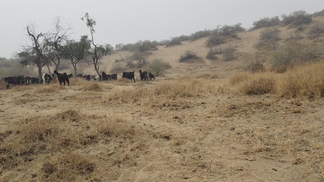 ⁣भारत-पाकिस्तान बॉर्डर