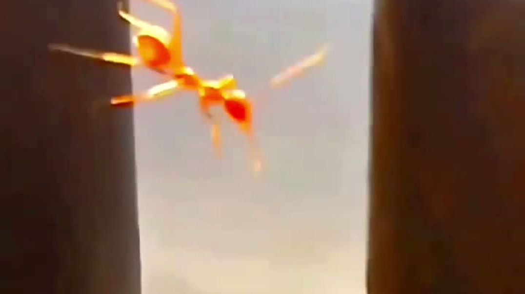 ⁣हार मत मानो — मंज़िल मुश्किल हो सकती है लेकिन नामुमकिन