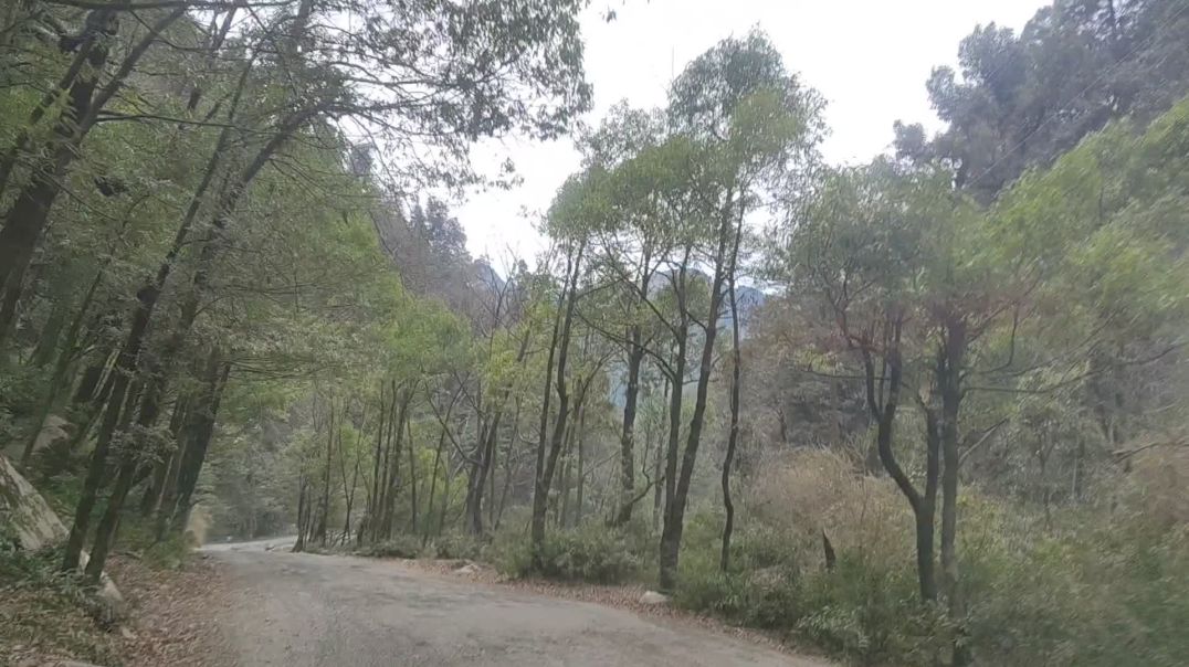 घोगर धार