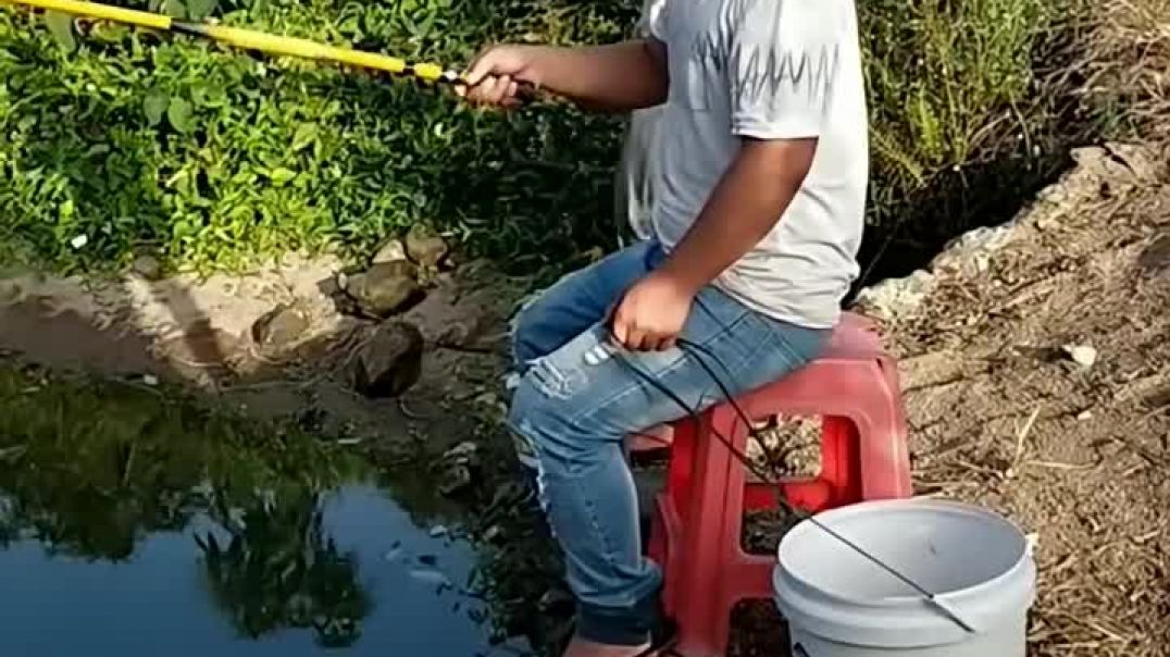 ⁣Funny viral scenes🤣🤣🤣🤣🤣🤣 #shorts #viral