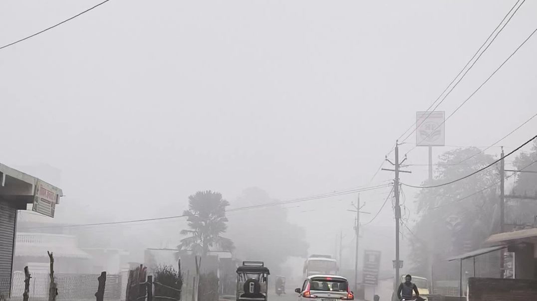 video_20251215_095118