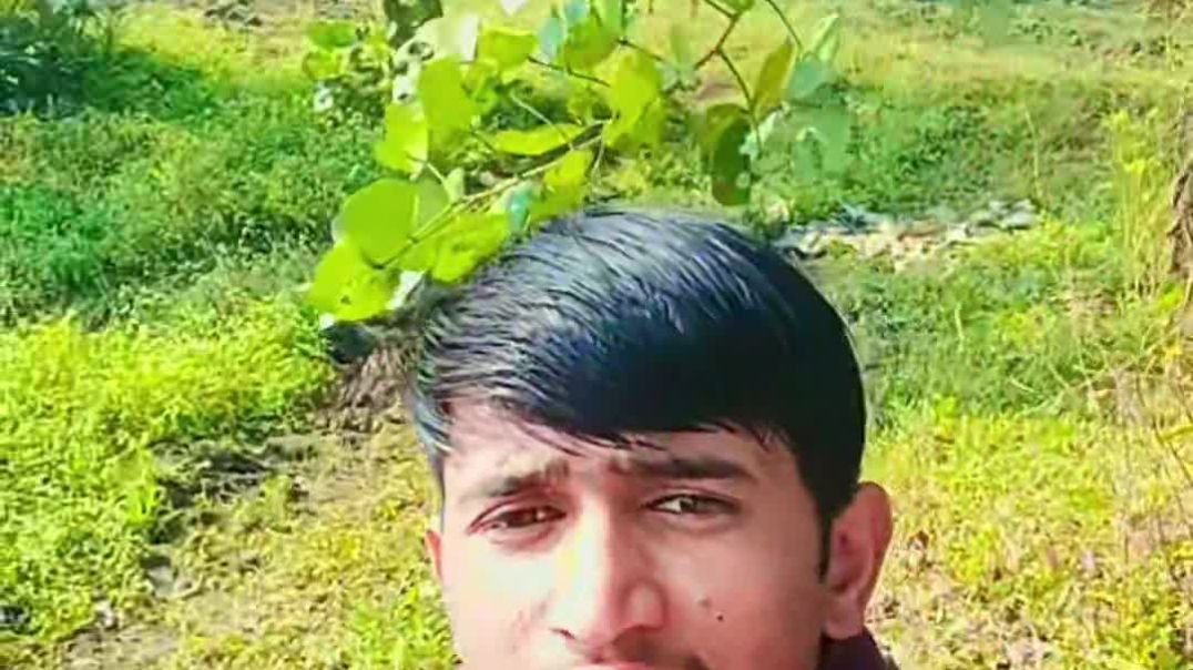 VID_20251120_002318_781_bsl