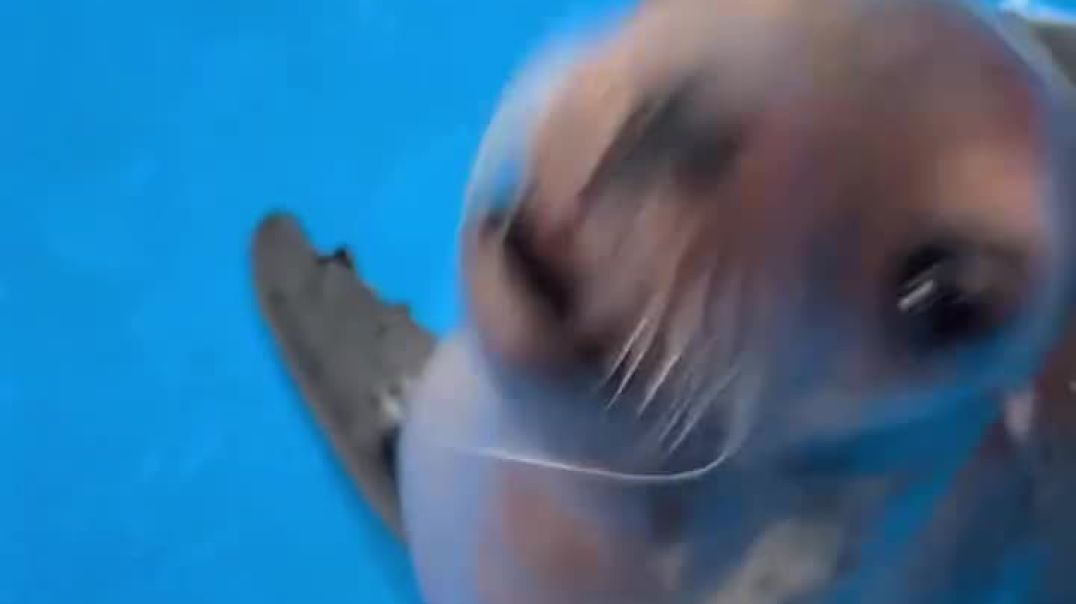 kuku66686_14040922_064135597