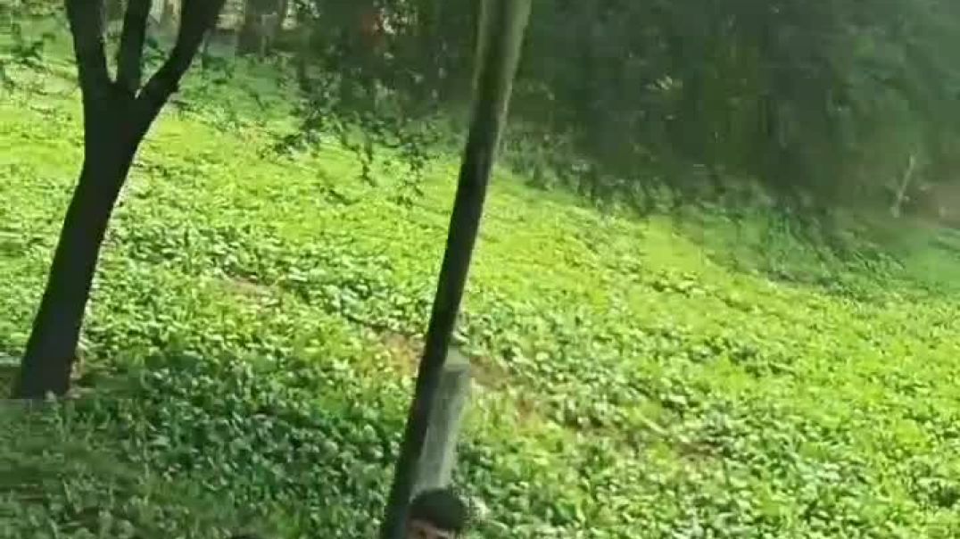 ⁣देसी ड्रॉन framer kisan ka jogad