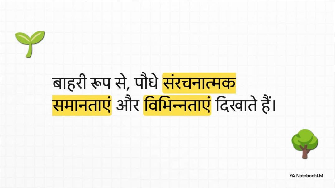 ⁣11th Biology Chapter 6 पौधों_का_आंतरिक_जीवन