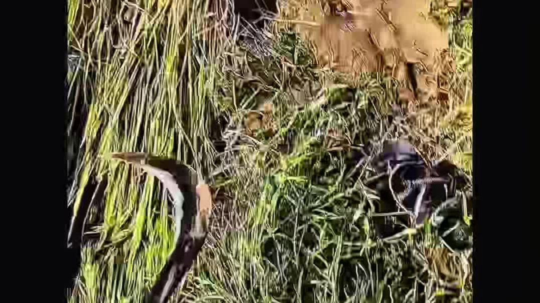 ⁣🙋😀My first vlog