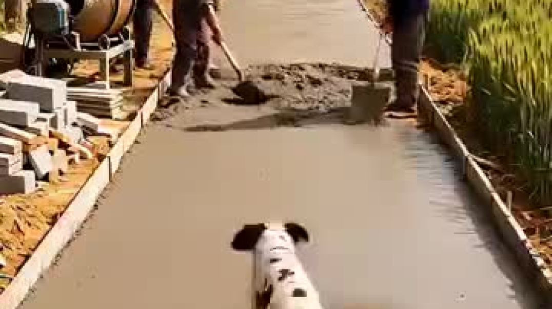 ⁣#babifreitas(360p)