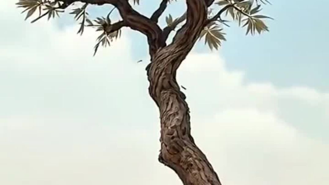 ⁣sadhu ki pariksha