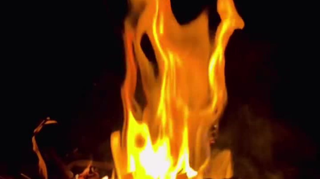 lifefarmer_ii_567334621