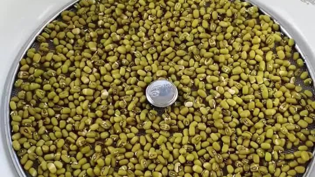 ⁣Moog ka special tadka