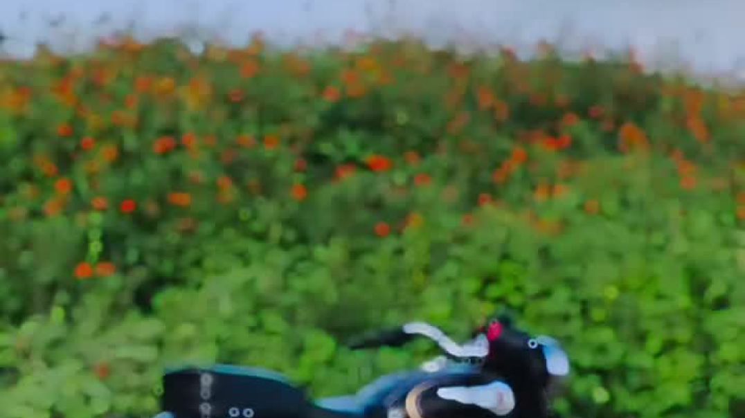 VID_20251024_080815_631