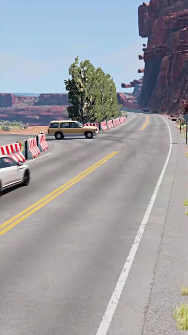 Car cress in road 🛣️