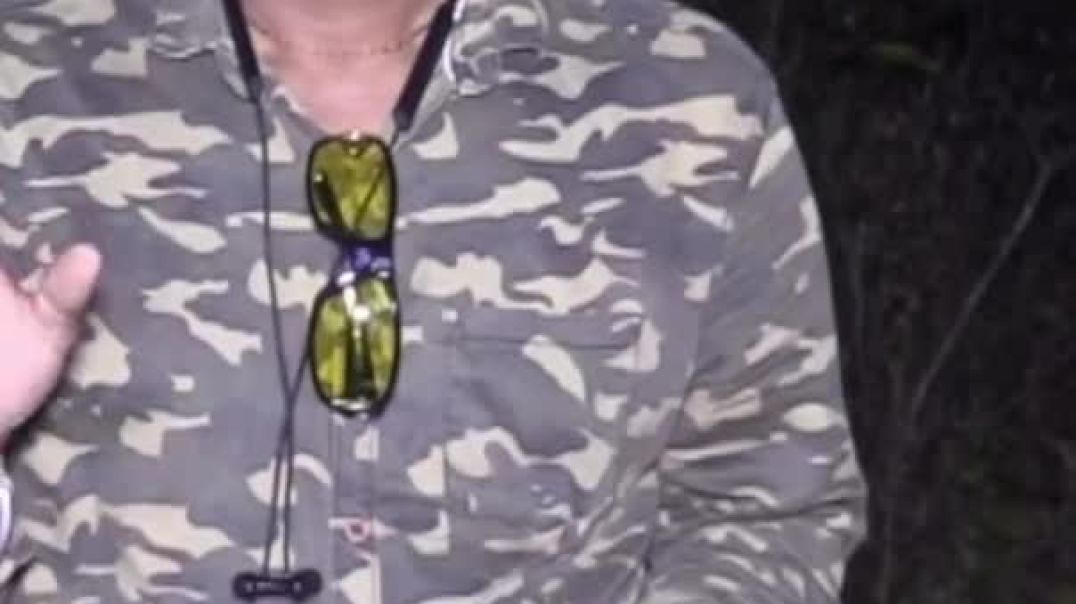 ⁣Kya apne kabhi urane wala snake dekha hai #video