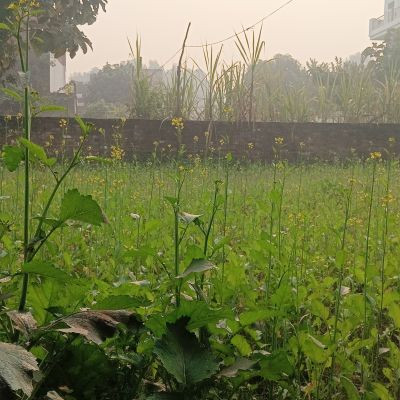 Sahani.vishal142783 Sahani.vishal142783