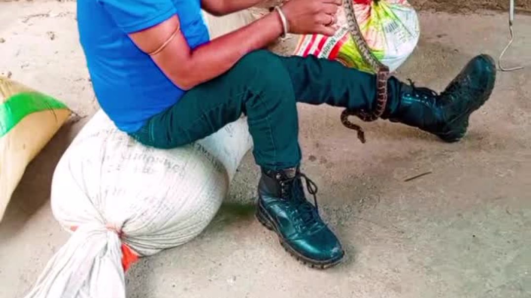 ⁣#viral #photography #smallbusiness Devilal meena snake sevar #snake  expert#Devilal meena snake