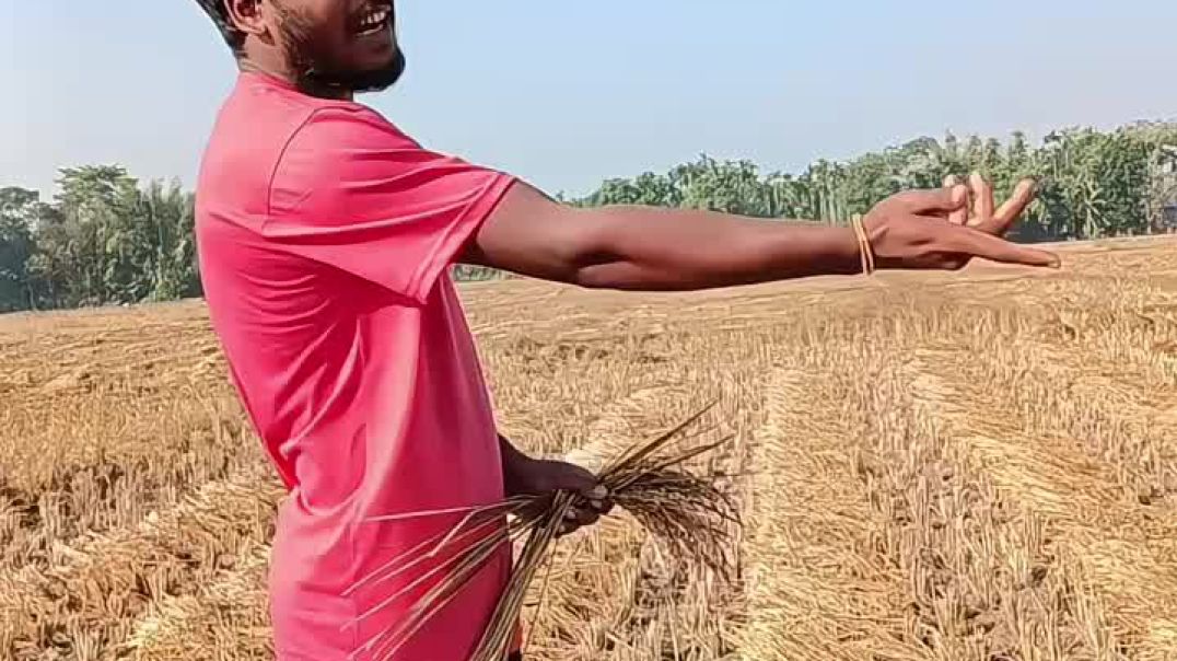⁣Bangla funny short video