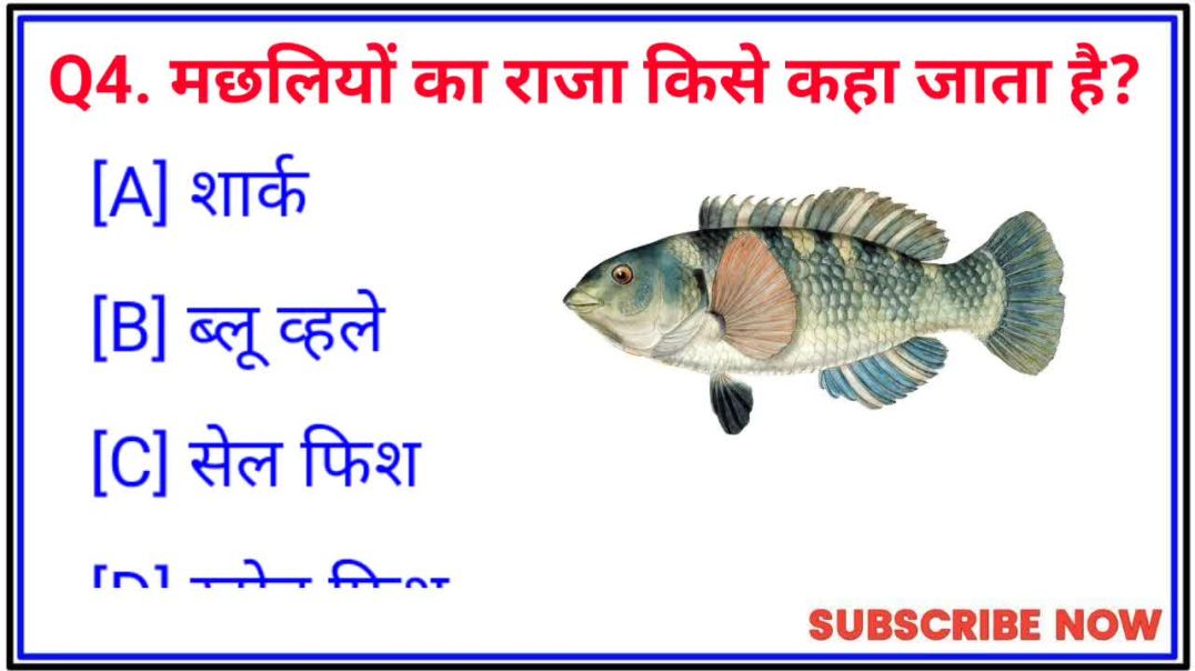 ⁣GK Question || GK FACTS ll INTRESTING GK || GK Question and Answer || GK Quiz || SS STUDY TRUTH ||