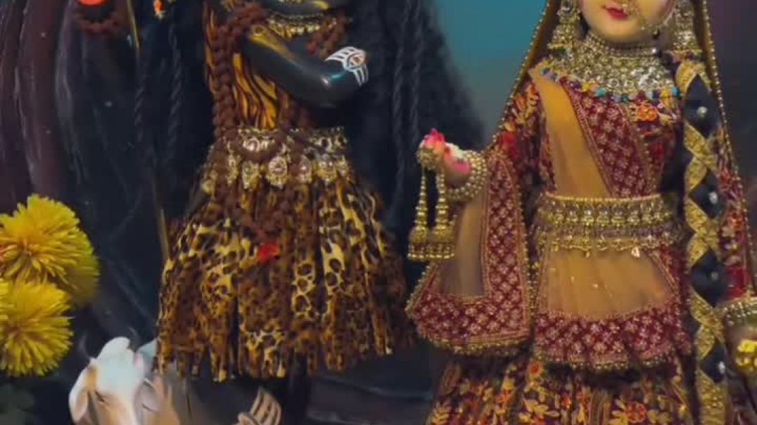 VID_20251123_231053_760