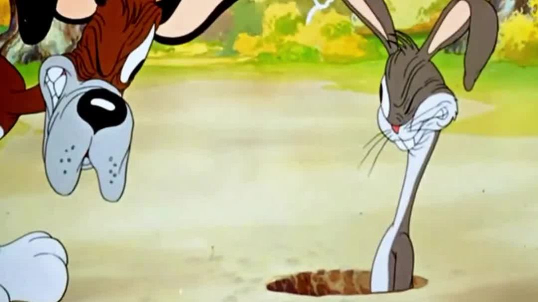 ⁣बेवकूफ_कुत्ता_और_चालाक_खरगोश_पार्ट_1_#shortvideo_#funny_#trending(1080p)