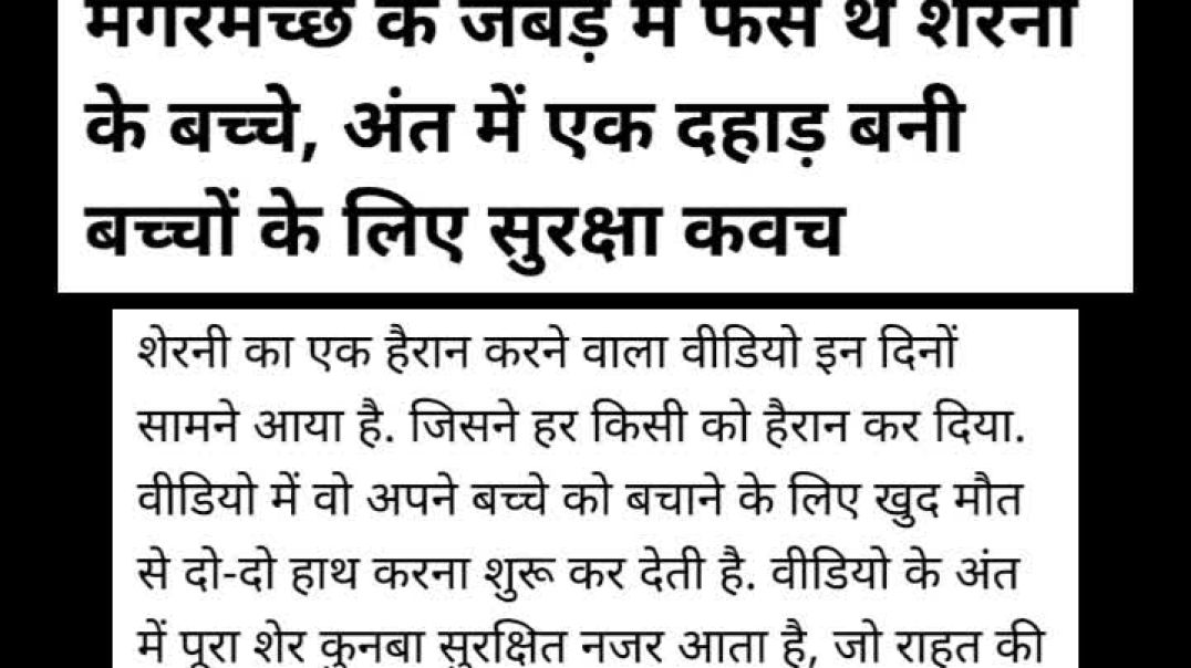 ⁣मगरमच्छ के जबड़े में फंसे थे शेरनी के बच्चे #trendingreels #viralreels #shortvideo #newsfeed