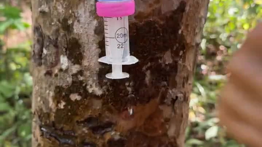 ⁣Funnymemex #funny #shorts #viral #trending#apnatube