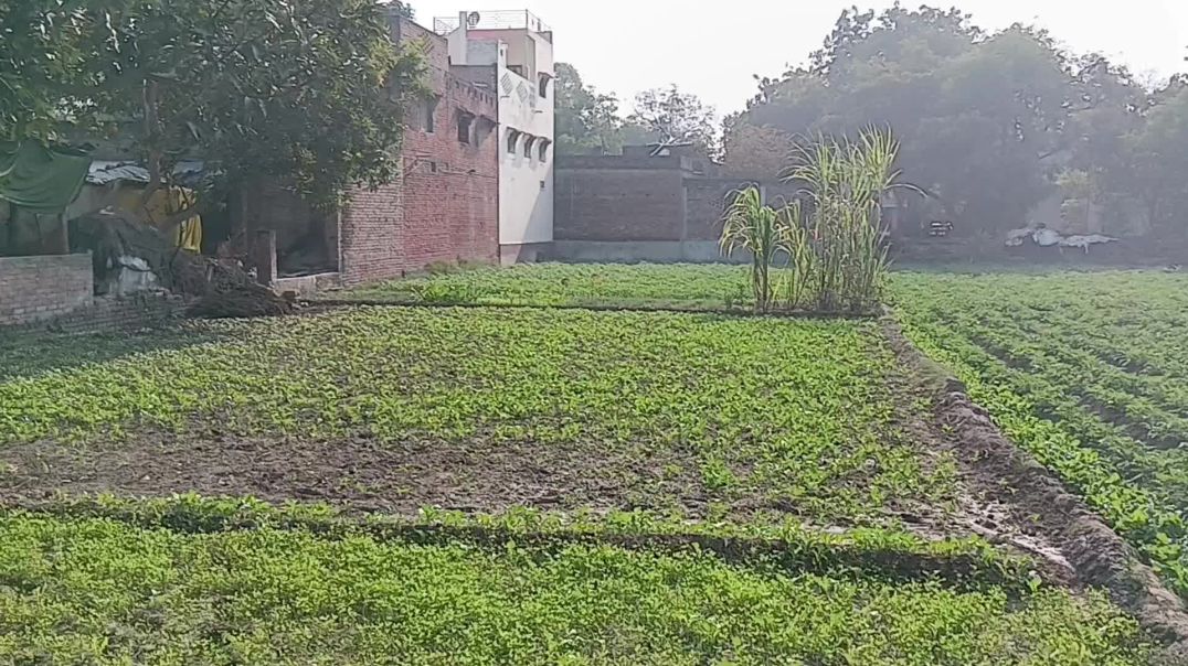 ⁣Village lifestyle very nice दिल्ली market #shatrudhan #apnatube