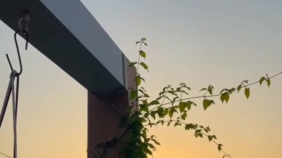 ⁣🥰Love forever 💕