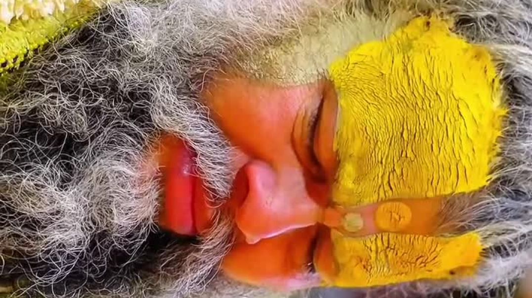 ⁣Shree hit premanand ji maharaaj #premanandjimaharaj #radheradhe ##radharani