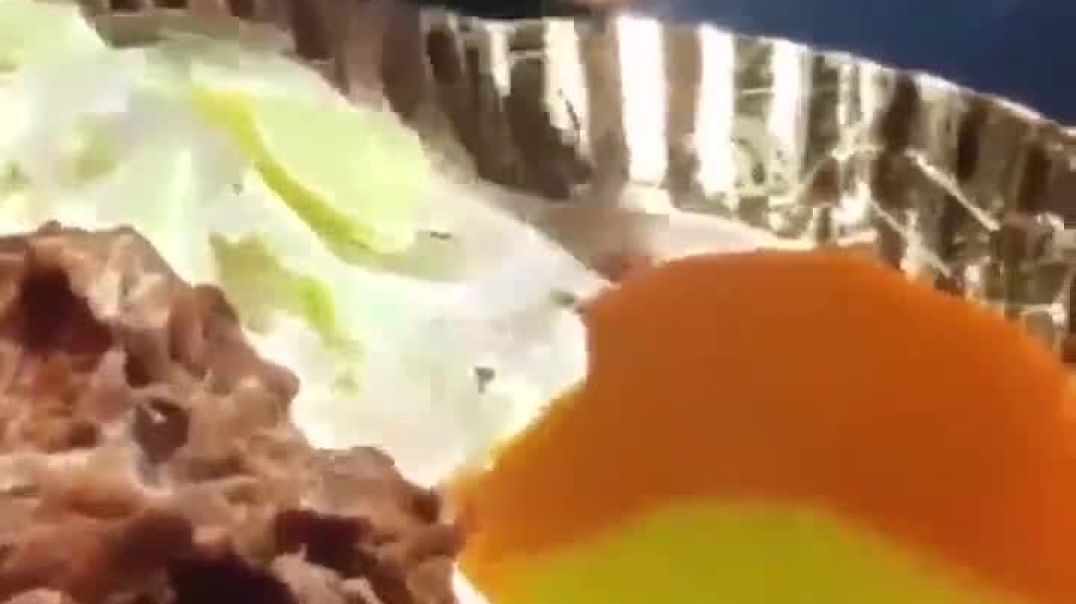 10 takay chicken pakora