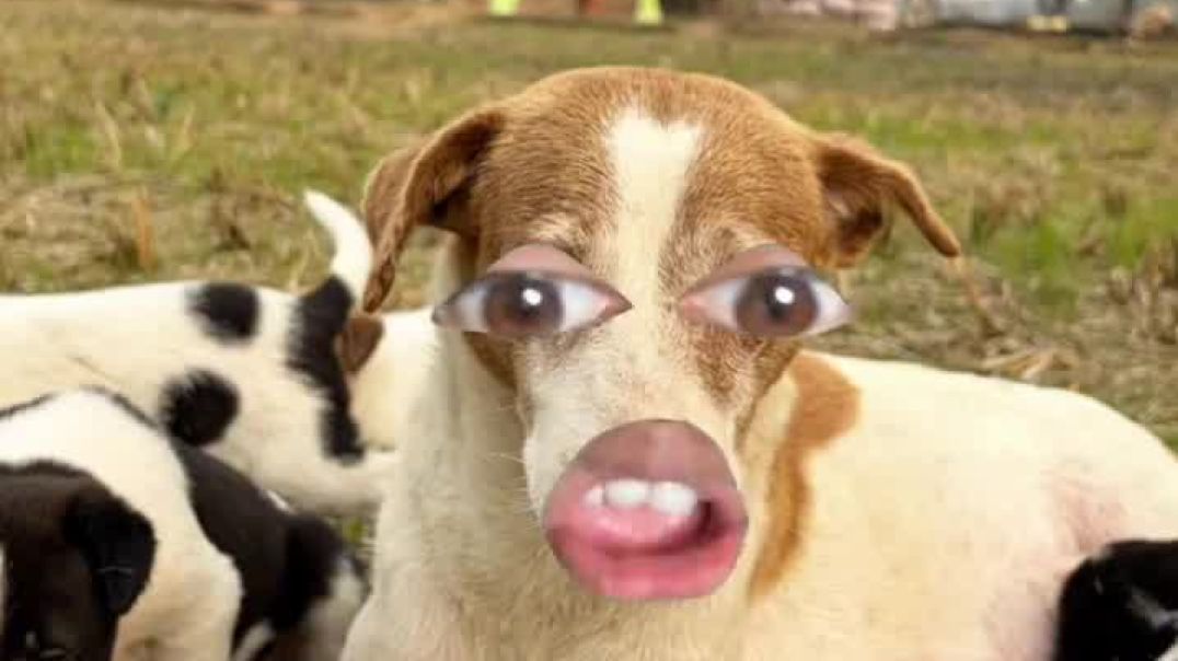 ⁣वीडियो को पूरा देखिए और शेयर कीजिए🙏#magahi_king7 #comedy #funny