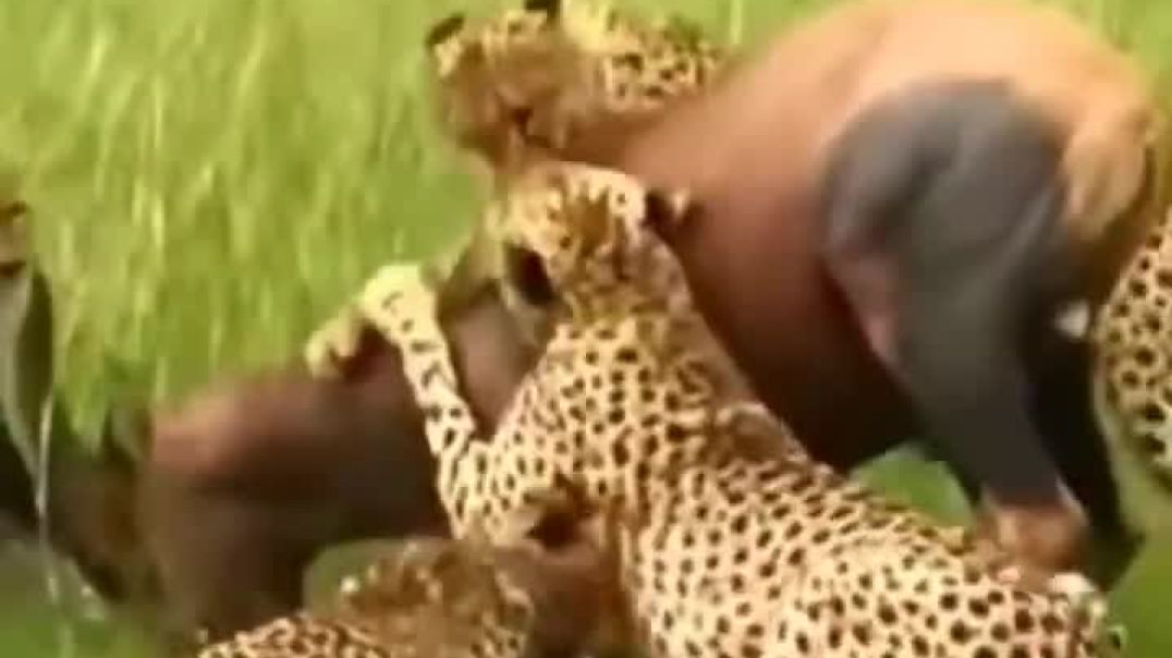 ⁣successful with team important