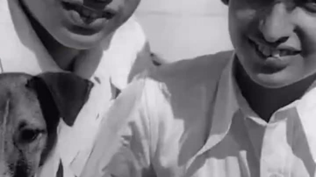 ⁣Attitude not 🚫 important