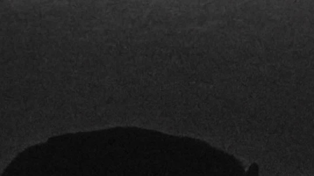 ⁣अकेला चलता हूँ क्योंकि झुंड धोखा दे जाता है..!