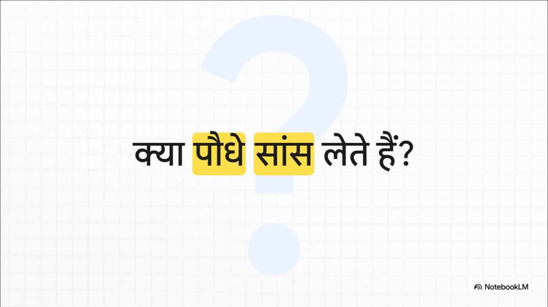 ⁣11th Biology Chapter 12 ऊर्जा_की_यात्रा__पौधे_कैसे_सांस_लेते_हैं