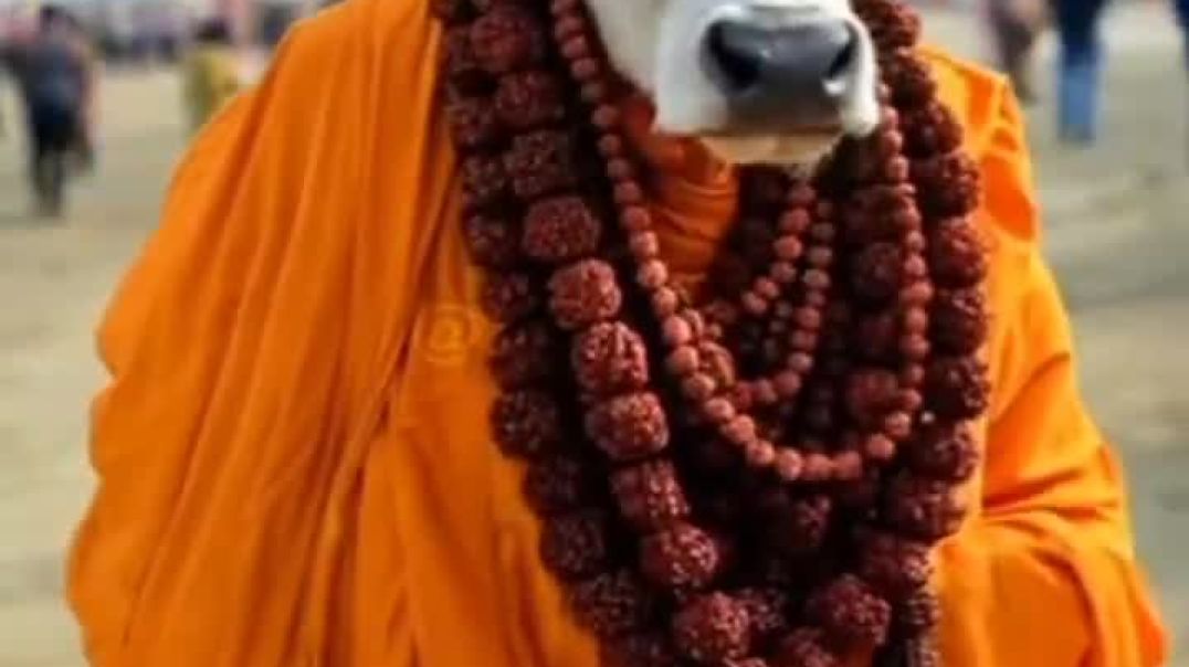 ⁣Animal in Ganga puja