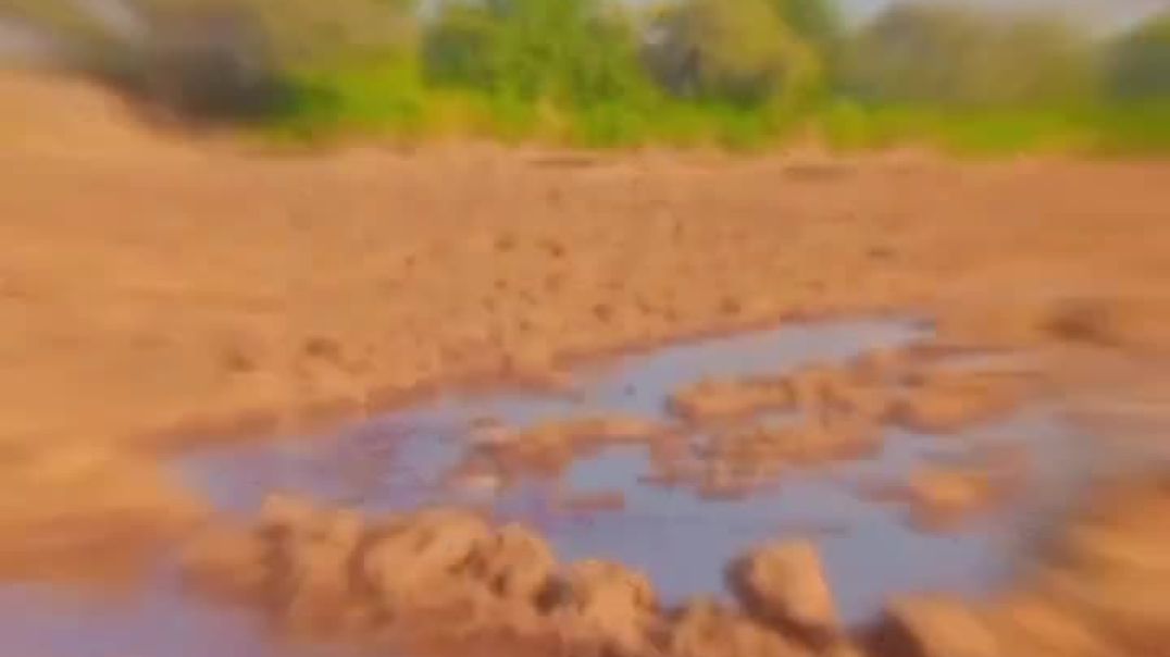 ⁣Khet🌾💫✨❤️_🩹👀🗼Shree kalaji krishi farm bhatwada khurd🗼#reels #rajasthan #khet #viralvideos