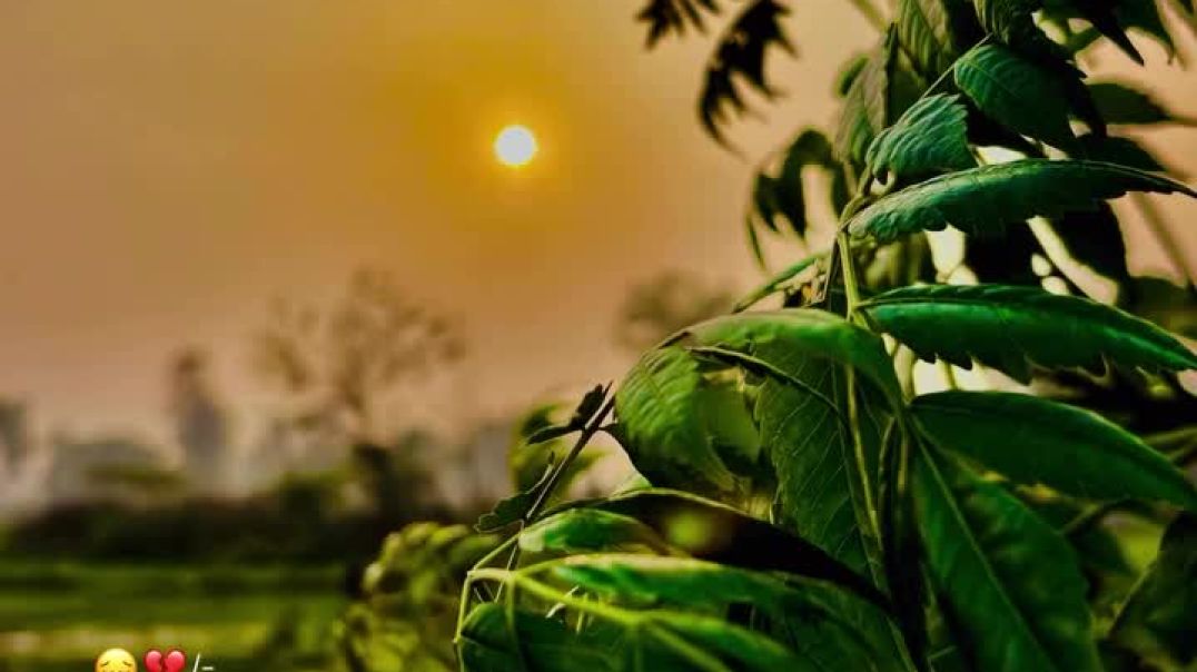 ⁣this_song😔💔__179_•#explorepage_#explore_#mandirachobiwali_#foryoupage_#foryou_keepsupporting_reelsin