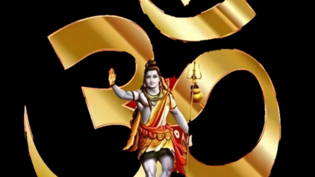 Tabala parfomas तबला वादक