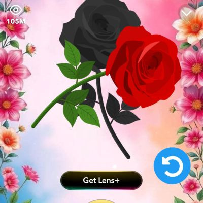 115585681496186213964 