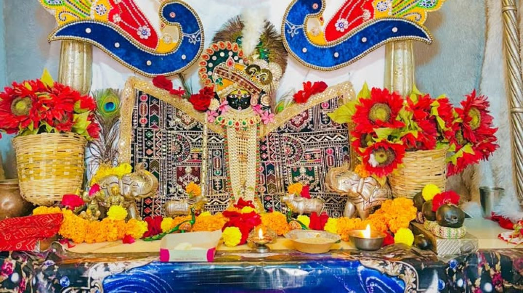 VID_20251205_053434_435