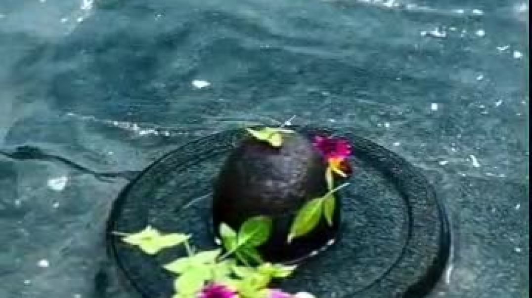 ⁣VID-20251210-WA0008