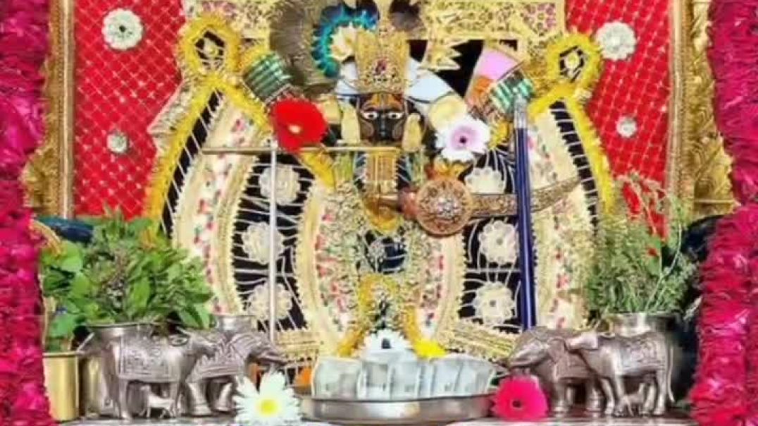 ⁣#sawariya #sawriyaseth #youtubeshorts