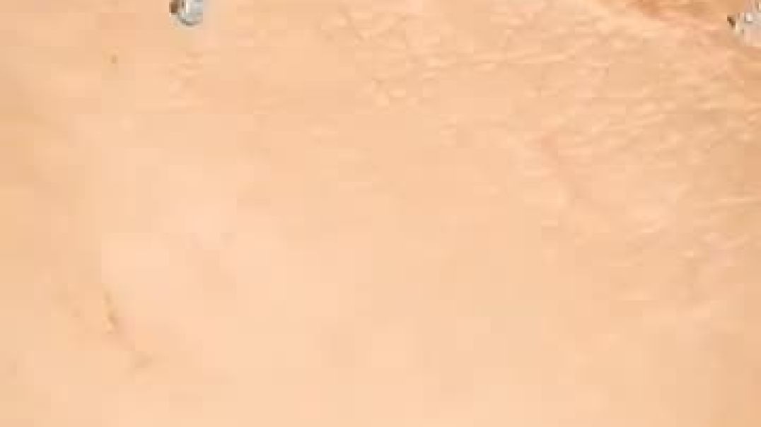 ⁣#entertainment_video_wait_for_End_please_subscribe_#facts(360p)