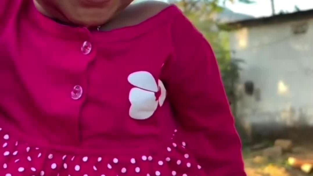 ⁣अच्छी फसल हमेशा कीड़े ही खा जाते हैं 🐛🌾 #FasalAurKeede #FunnyRoast #Kismat