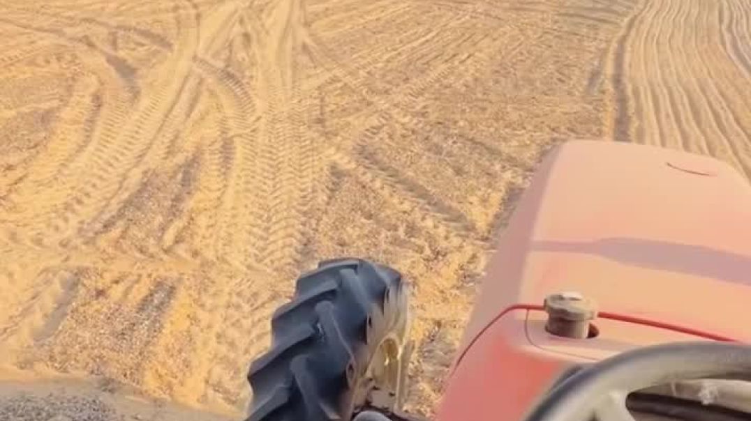 VID_20251202_231828_512