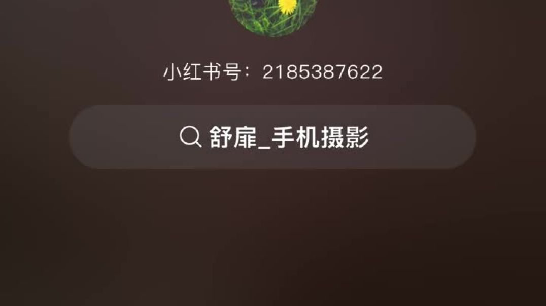 ⁣Wonderful peacock 🦚