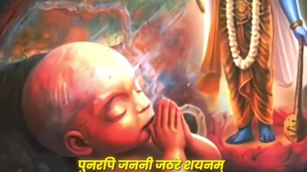 ⁣VID-20251209-WA0003