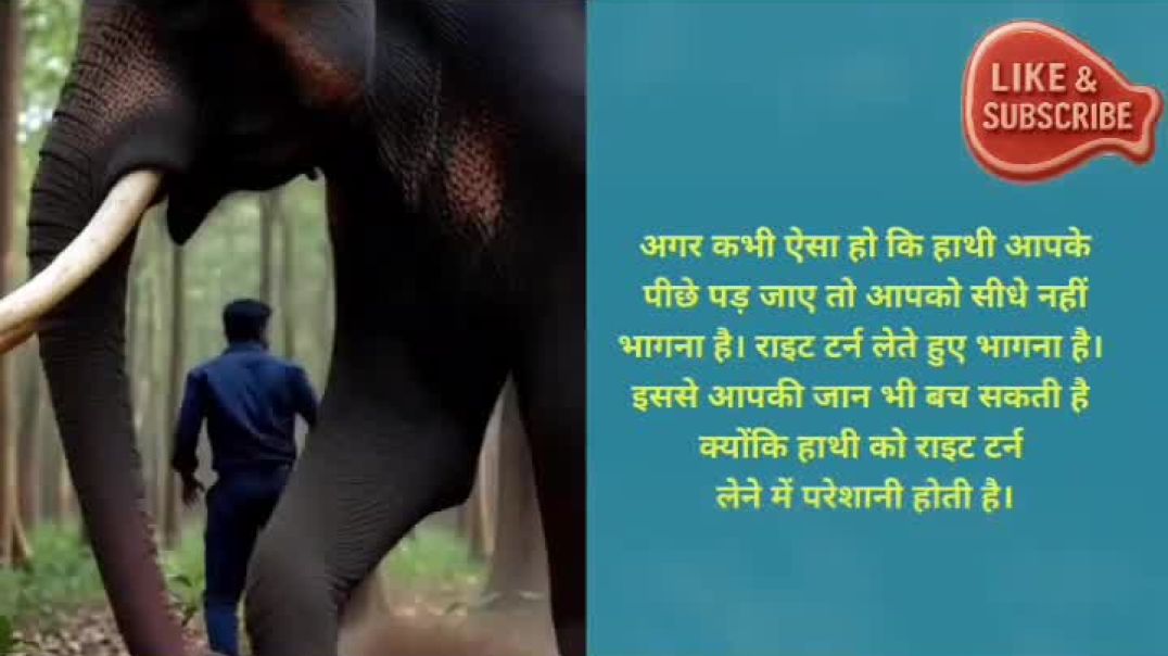 ⁣I Survived An Elephant Chase #shorts #facts #motivation(720P_HD)