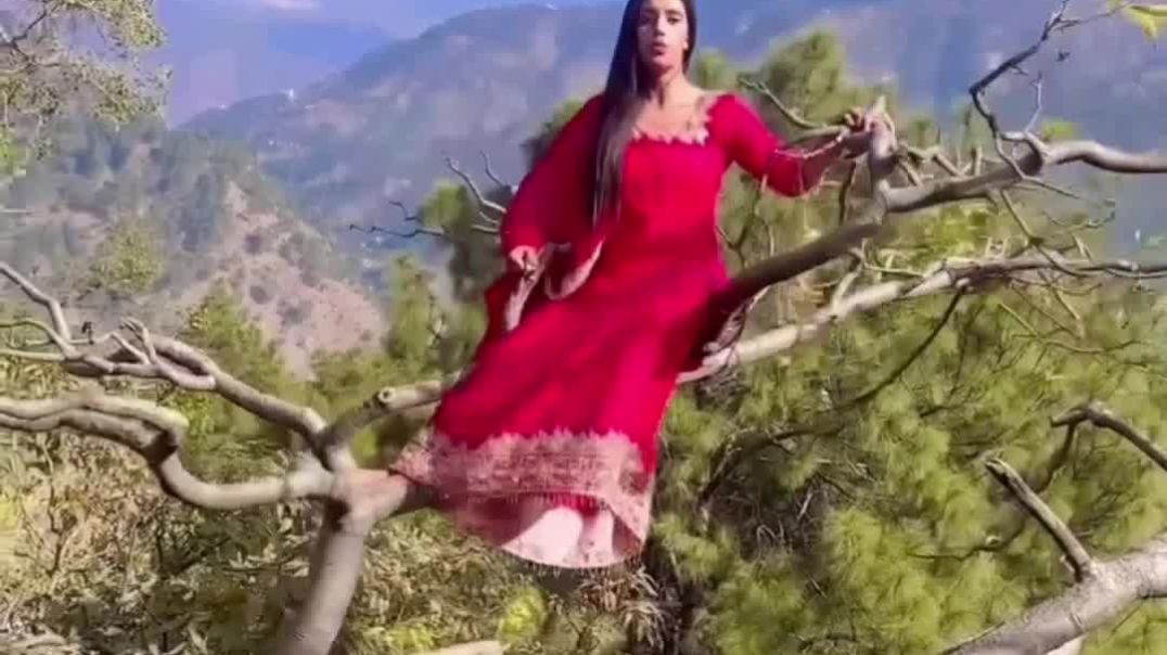 ⁣"दीदी नीचे आ जाओ वरना कहानी खत्म! 💀🤣"#PedonKiRani #NicheAaja #FunnyReaction